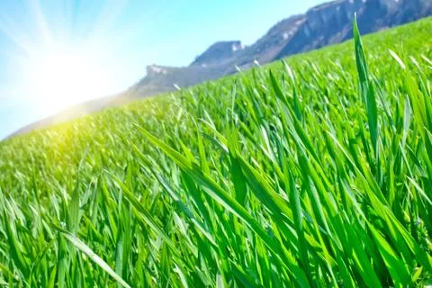 Nature background Stock Photos
