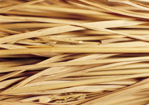 Nature Background Stock Photos