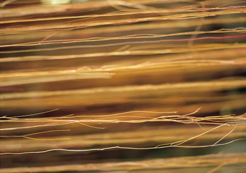 Nature Background Stock Photos