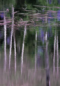 Nature Background Stock Photos