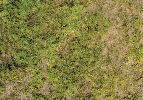 Nature Background Stock Photos