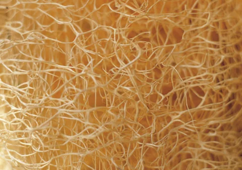 Nature Background Stock Photos