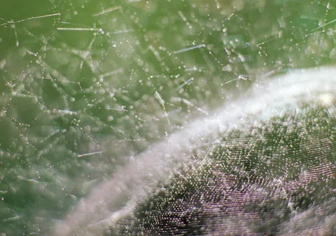 Nature Background Stock Photos