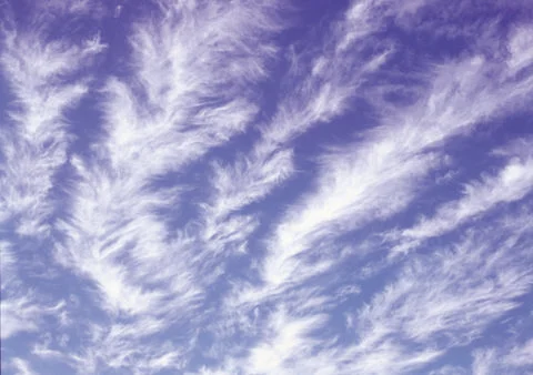 Nature Background Stock Photos