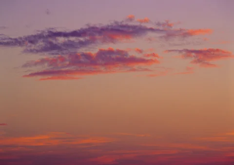 Nature Background Stock Photos