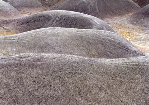 Nature Background Stock Photos