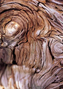 Nature Background Stock Photos