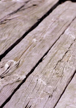 Nature Background Stock Photos