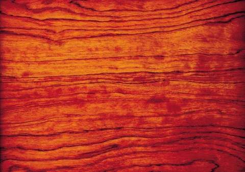 Nature Background Stock Photos