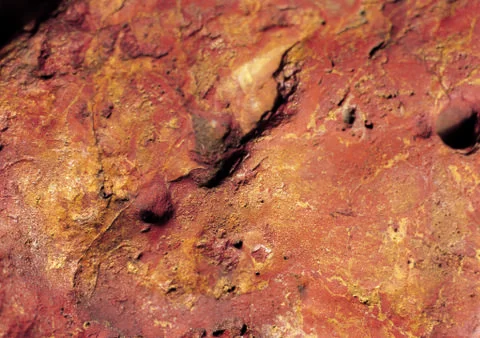 Nature Background Stock Photos