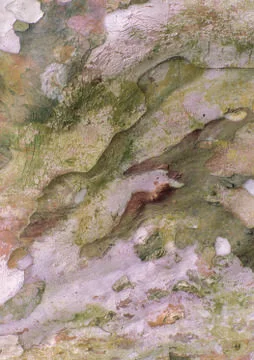 Nature Background Stock Photos