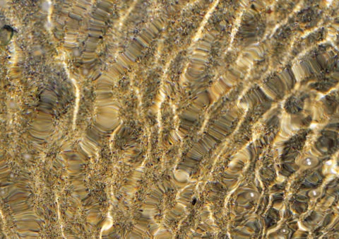 Nature Background Stock Photos