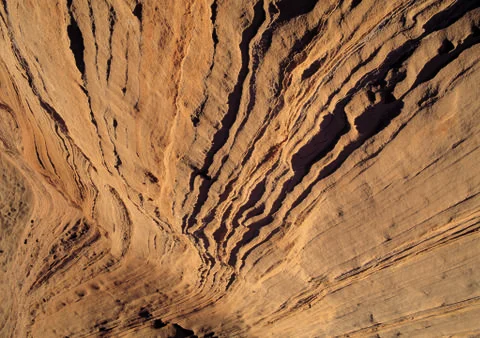 Nature Background Stock Photos