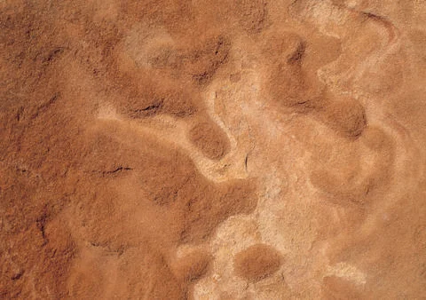 Nature Background Stock Photos