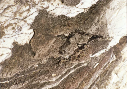 Nature Background Stock Photos