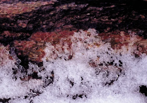 Nature Background Stock Photos