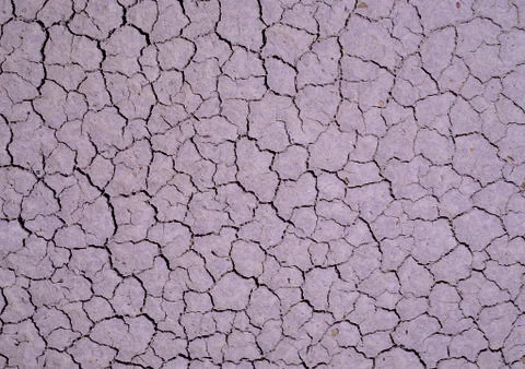 Nature Background Stock Photos