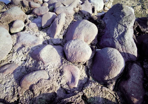 Nature Background Stock Photos