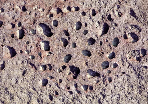 Nature Background Stock Photos