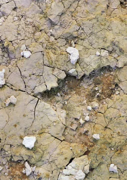 Nature Background Stock Photos