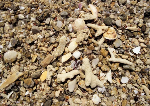 Nature Background Stock Photos