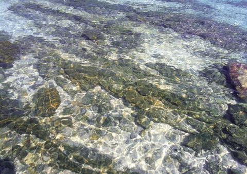 Nature Background Stock Photos