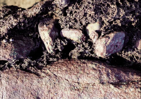 Nature Background Stock Photos