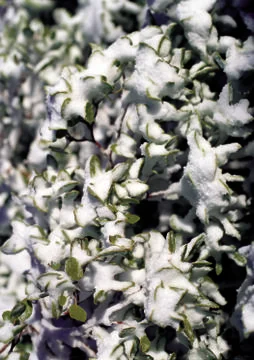 Nature Background Stock Photos