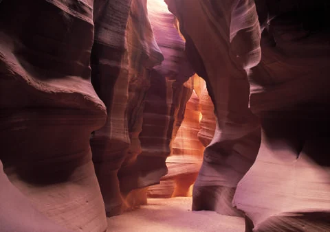 Nature Background Stock Photos