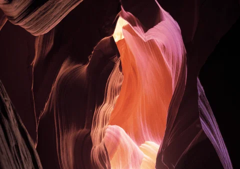 Nature Background Stock Photos