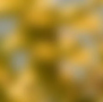 Nature background Stock Photos