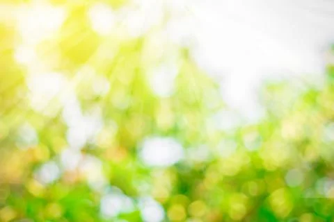 Nature background Stock Photos