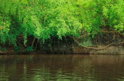 Nature background Stock Photos