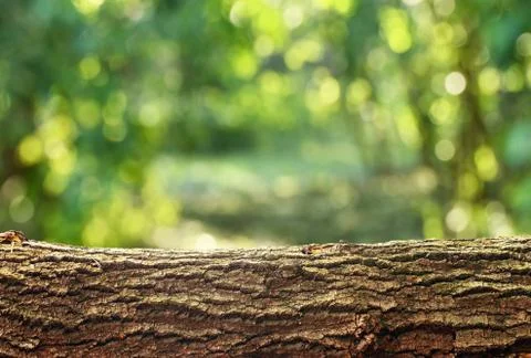 Nature background Stock Photos