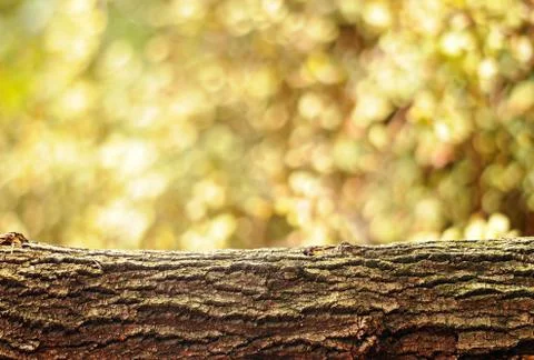 Nature background Stock Photos