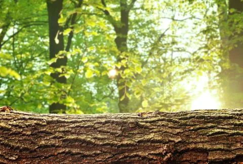 Nature background Stock Photos