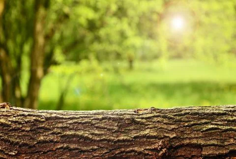 Nature background Stock Photos