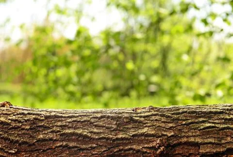 Nature background Stock Photos