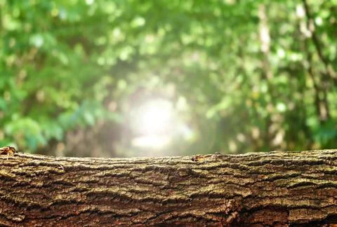 Nature background Stock Photos