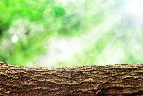 Nature background Stock Photos