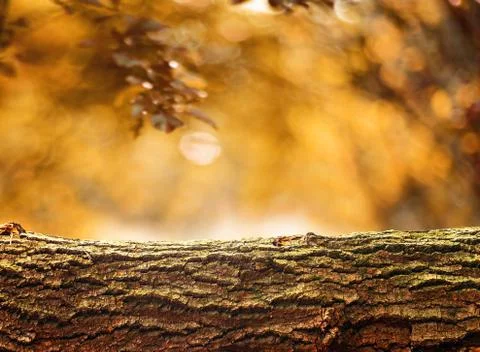 Nature background Stock Photos