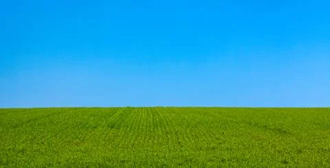 Nature background. Stock Photos