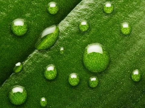 Nature background Stock Photos