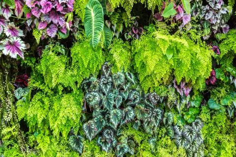 Nature background Stock Photos
