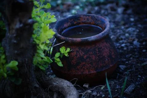 Nature background Stock Photos