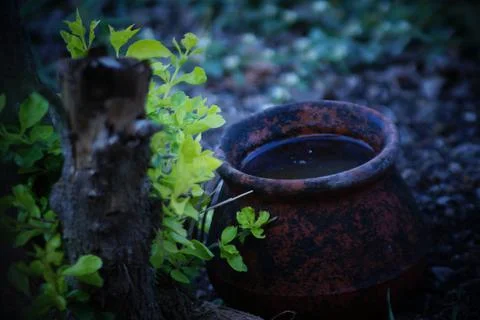 Nature background Stock Photos