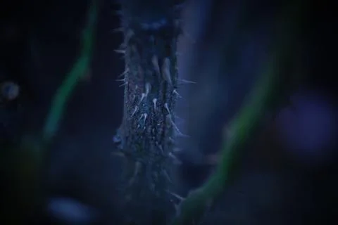 Nature background Stock Photos