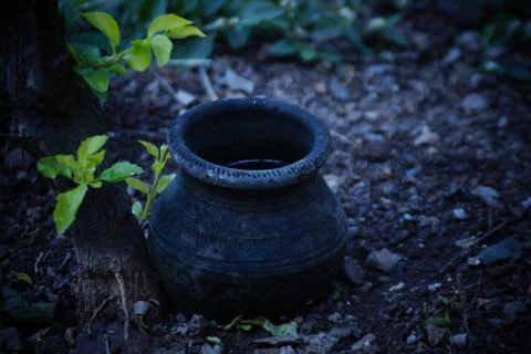 Nature background Stock Photos