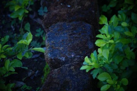 Nature background Stock Photos
