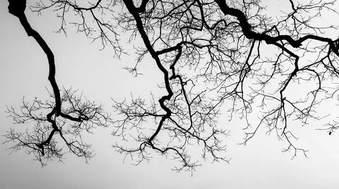 Nature background Fotos Stock